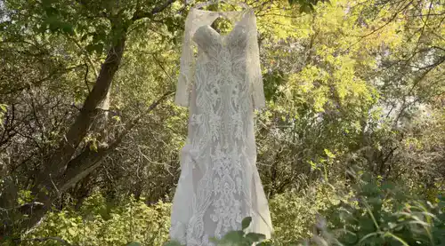 wedding dress hanging on a tree branch surrounded by tress
